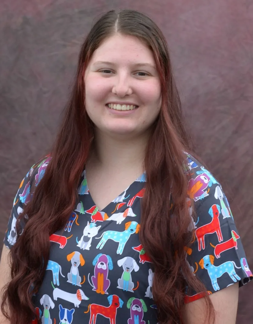 Stahl online veterinary clinic